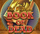 Book of Dead game logo